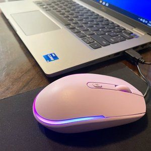 RGB Computer mouse wired